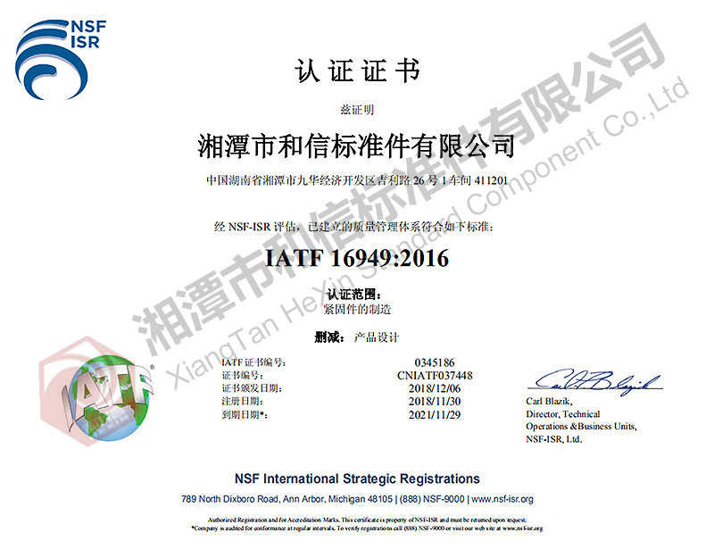 公司質量管理體系:IATF16949:2016標準(中文)